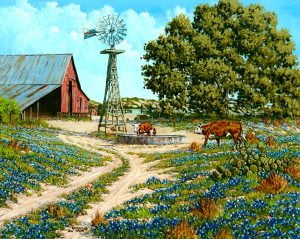Hill Country Barnyard