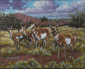 And the Antelope Play