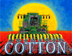 Cotton