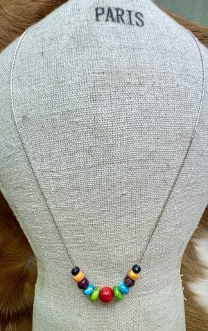 Multi Color Necklace on Silver Chain