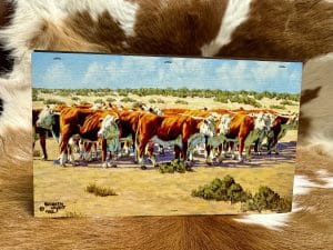 "Sewing Circle" Puzzle