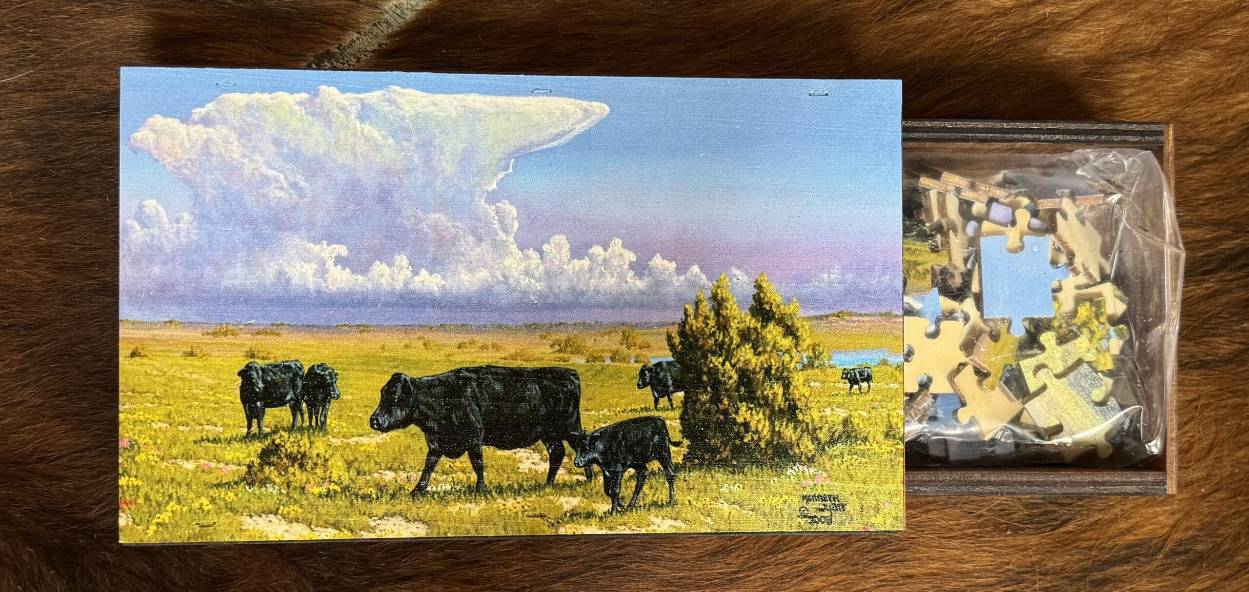 “Angus” Puzzle